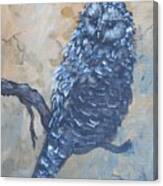 Grey Owl1 Canvas Print
