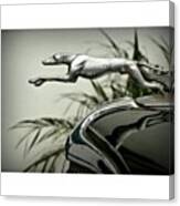 Greyhound Radiator Cap Canvas Print
