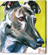 Greyhound Canvas Print