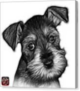 Greyscale Salt And Pepper Schnauzer Puppy 7206 Fs Canvas Print