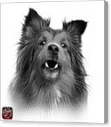 Greyscale Sheltie Dog Art 0207 - Wb Canvas Print