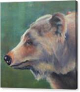 Grizzly Bear Portrait Canvas Print