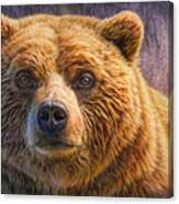 Grizzly Portrait Canvas Print
