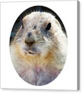 Ground Squirrel Portrait Canvas Print