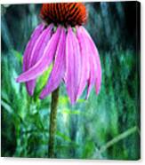 Growing Wild And Free Canvas Print