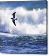 Gull In The Waves Canvas Print