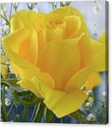 Gypsophila And The Rose. Canvas Print