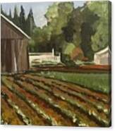 Hadley Farm Canvas Print