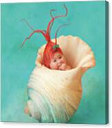 Halle As A Baby Shrimp Canvas Print