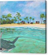 Hammerhead Bay Canvas Print