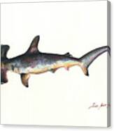 Hammerhead Shark Canvas Print