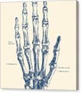 Hand Skeletal Diagram - Vintage Anatomy Poster Canvas Print