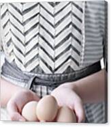 Hands Holding Three Brown Eggs Canvas Print