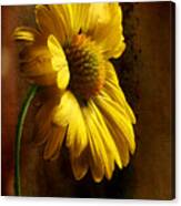 Happiness Is A Flower Shared Canvas Print