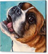 Happy Boxer Dog Canvas Print