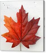 Happy Canada Day Red Silk Maple Leaf Canvas Print