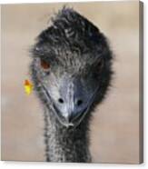 Happy Emu Canvas Print