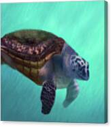 Happy Turtle Canvas Print