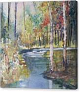 Hartman Creek Birches Canvas Print