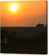 Harvest Sunset Canvas Print