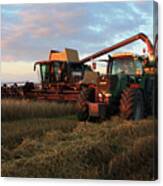 Harvest Team Work Canvas Print