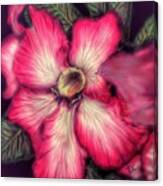 Hawaii Flower Canvas Print