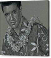 Hawaiian Beach Boy Canvas Print