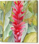 Hawaiian Beauty Canvas Print