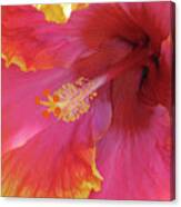 Hawaiian Hibiscus - Orange And Red 06 Canvas Print