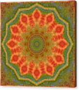 Healing Mandala 14 Canvas Print