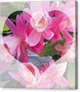 Heart Aglow Series No.9 - Epiphyllum Canvas Print