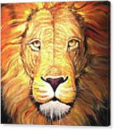 Heart Of A Lion Fullcolor Canvas Print