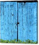 Heavy Blue In The Aley Canvas Print