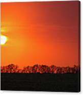 Hedge Row Sunset - 6352 Canvas Print