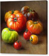 Heirloom Tomatoes Canvas Print