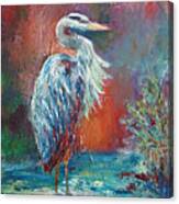 Heron In Color Canvas Print