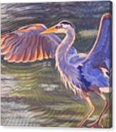Heron Majesty Canvas Print