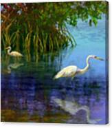 Herons In Mangroves Canvas Print