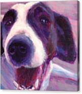 Hi There Doggie Canvas Print