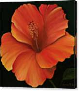 Hibiscus Beauty Canvas Print