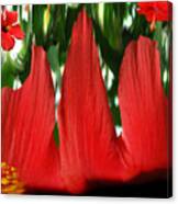 Hibiscus  Forest. Canvas Print