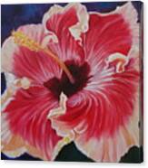 Hibiscus Canvas Print