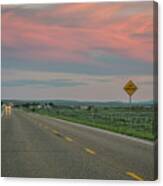 Highway At Dusk In Colorado Canvas Print