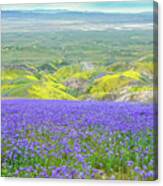 Hike To The Top Of Temblor Range Canvas Print