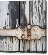Hinge On Old Shutters Canvas Print