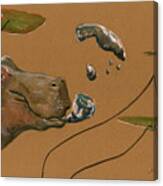 Hippo Bubbles Canvas Print