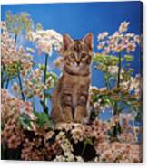 Hogging All The Hogweed Canvas Print