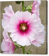 Hollyhock On Linen Canvas Print