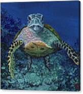 Home Of The Honu Canvas Print