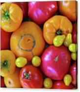 Homegrown Heirloom Tomatoes Canvas Print